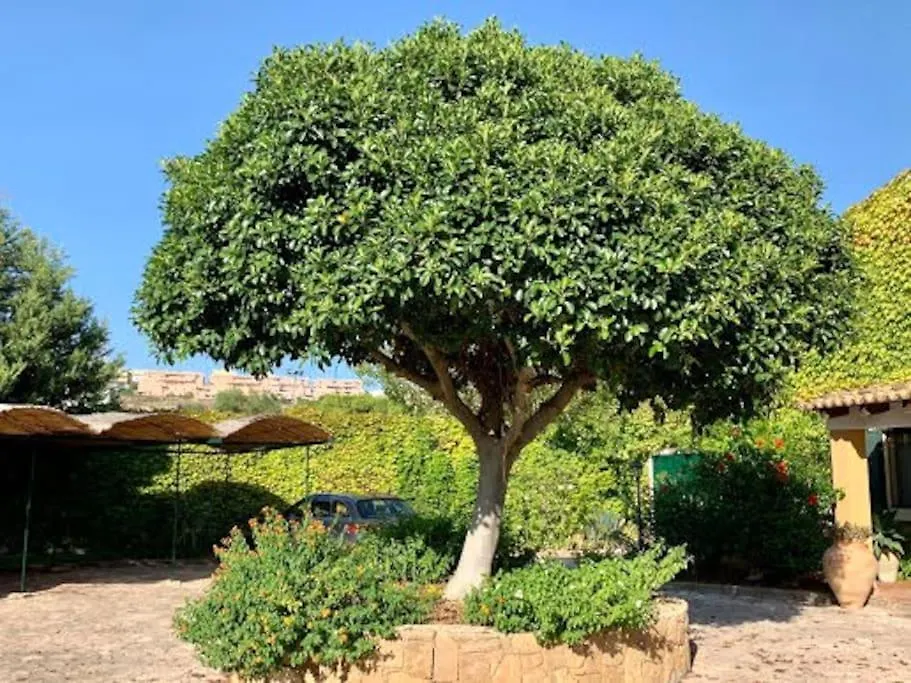 Appartamento Casa Magnolia Augusta Italia