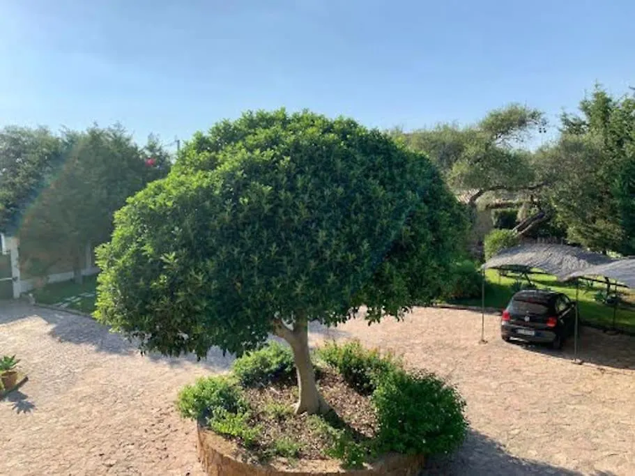 Apartament Casa Magnolia Augusta