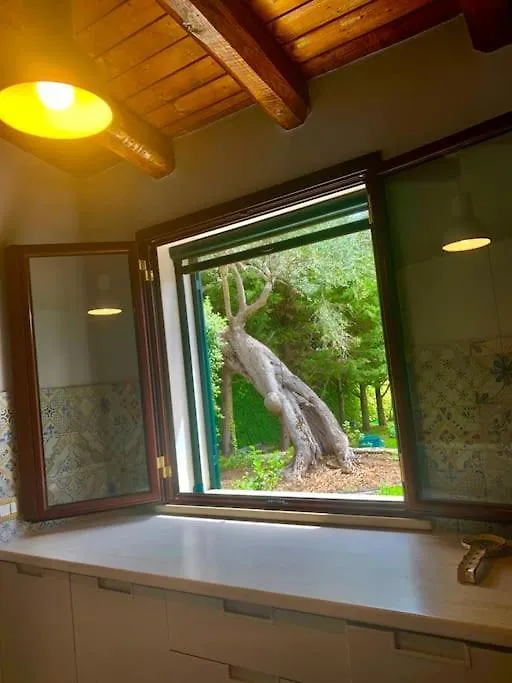 Appartamento Casa Magnolia Augusta Italia